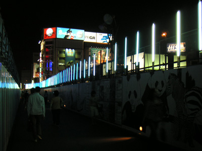 20050911_01.jpg